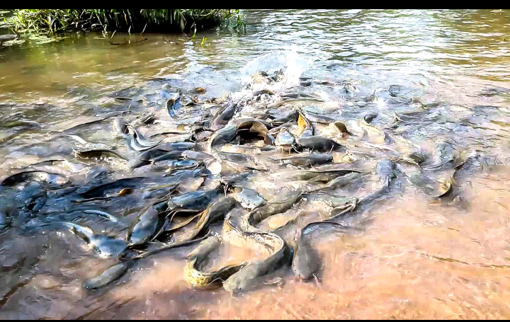 Bassins Sacrés de Dafra